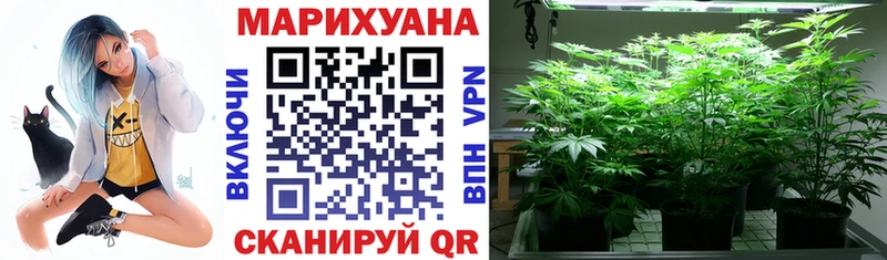Купить закладки  Чебаркуль  Конопля конопля 